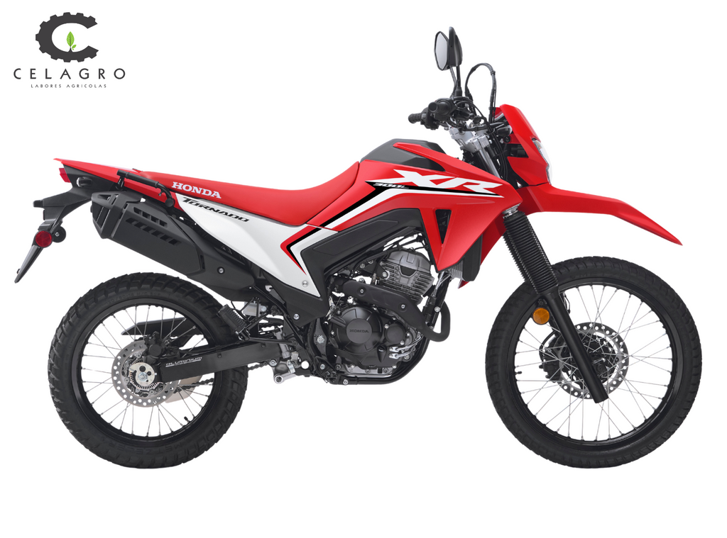Moto Honda XR 300 Tornado